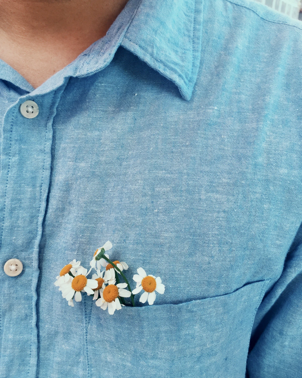 Close-up of a chambray linen shirt collar with small white daisies tucked into the pocket